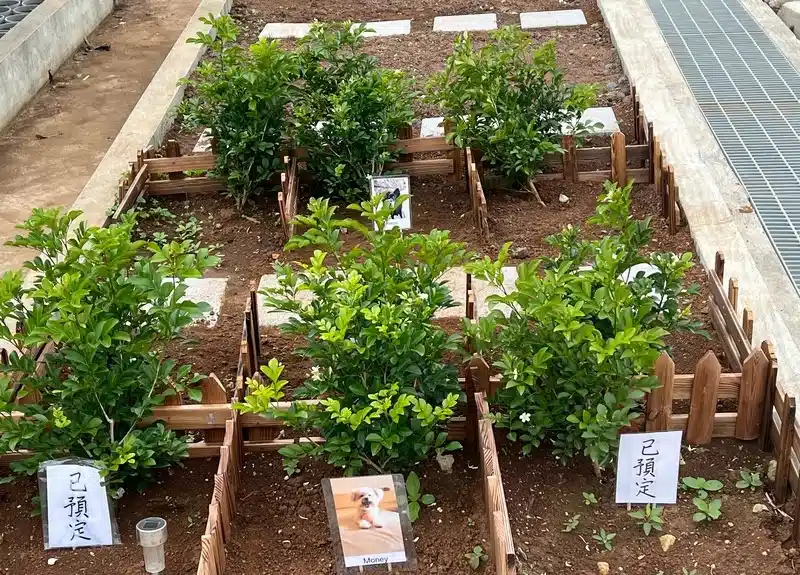 新天地寵物紀念館(建設規劃中)